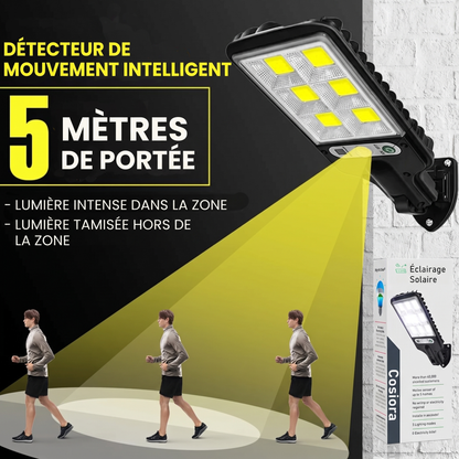 Lampe Solaire Extérieure Détecteur de Mouvement